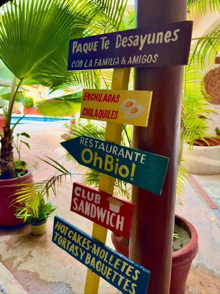 Hotel Zihuatanejo Centro 외부 사진